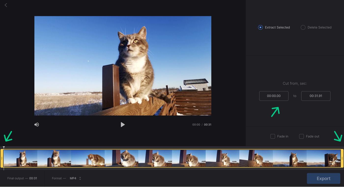 trim-to-activate-export-button-2.png