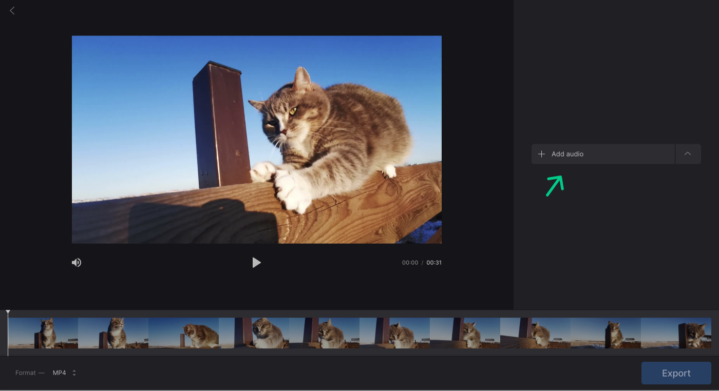 add-audio-to-activate-export-button.png