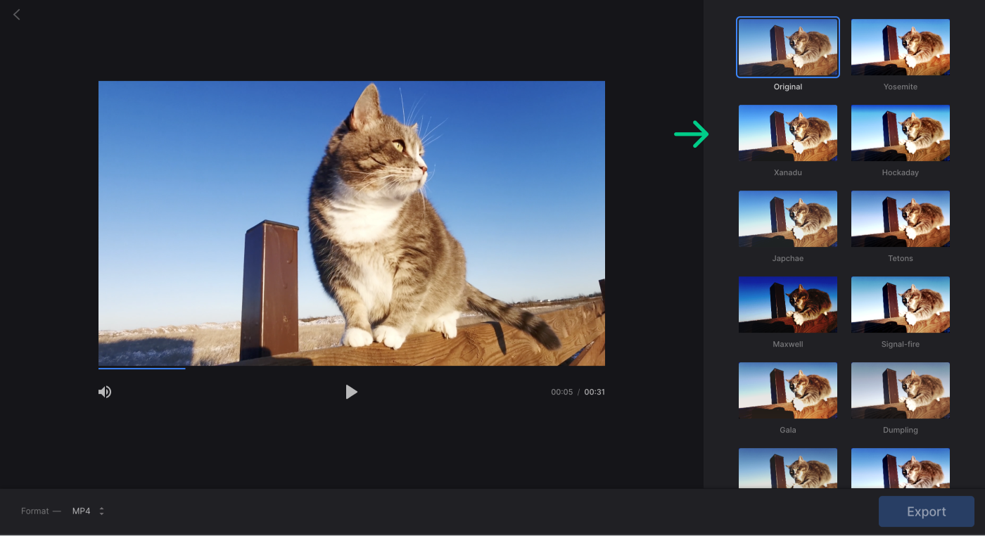 filter-video-to-activate-export-button.png