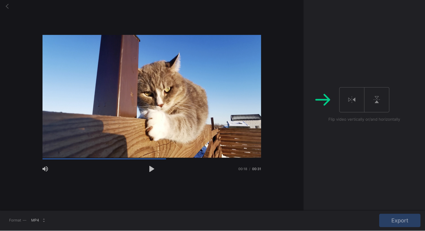 flip-video-to-activate-export-button.png